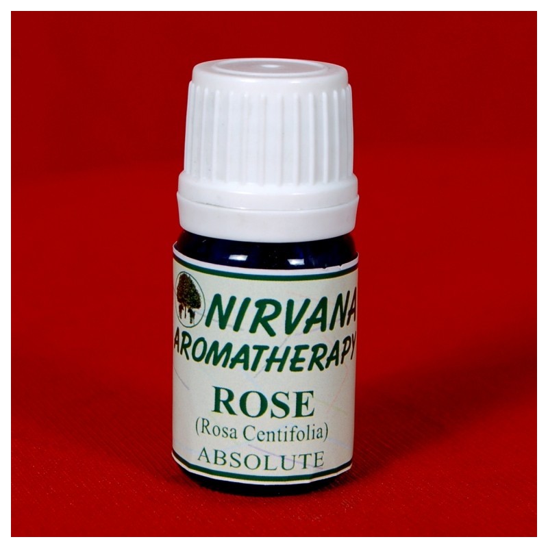 Rose Centifolia Absolute Oil