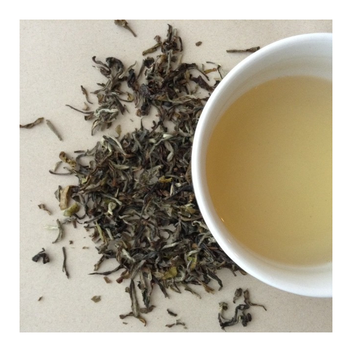 Vintage Gopal Dhara Darjeeling First Flush