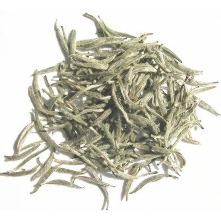 Buy White Hair  Silver Needle Tea Online