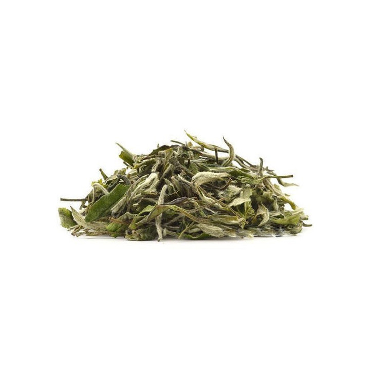Silver Needle - White Tea - Nilgiris