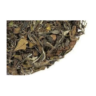 White Peony Zhenghe Mudan Wang 