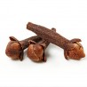 Buy Clove Bud Oil Online