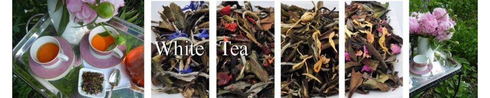 White Tea