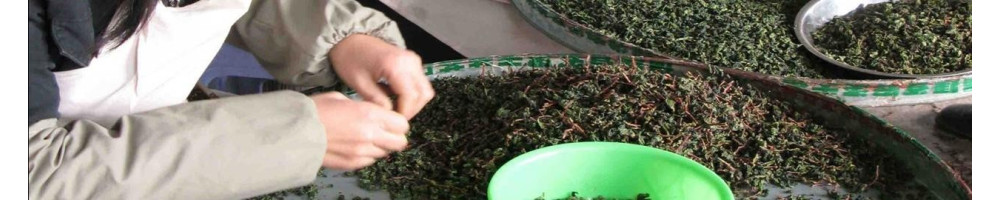 Buy Oolong Tea