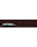 Black Tea