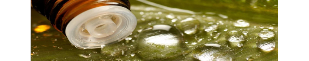 Buy Essential Oils Online India