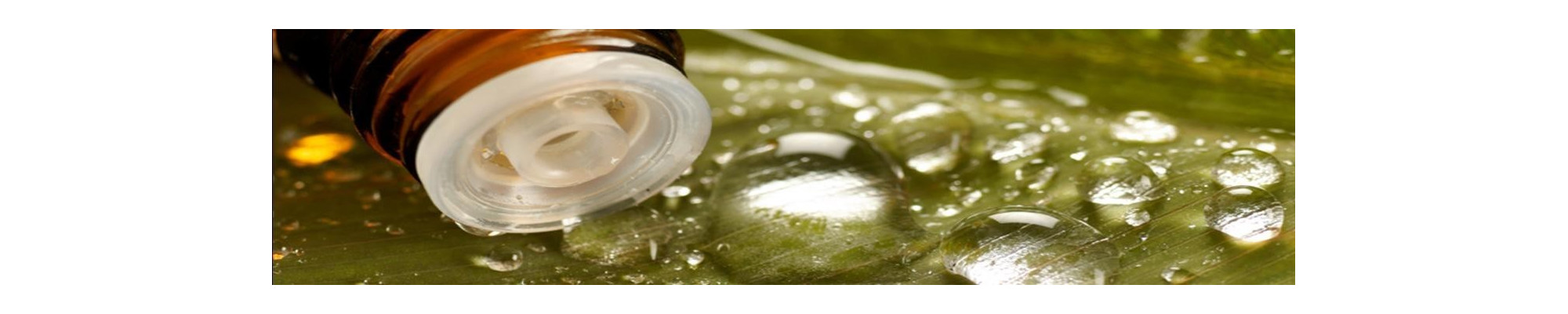 Buy Essential Oils Online India