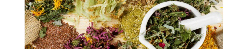 Herbal Skin, Hair & Body Care