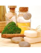 Herbal Body Care
